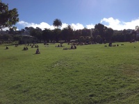Photo: “Dolores Park—San Francisco”